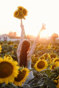 Woman on sunflower field young cheerful person holding hands up in air and looking at sunrise