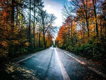 Road amidst trees in forest during autumn