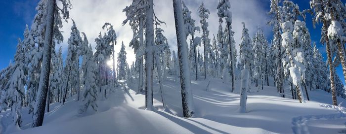 Panoramic view of snow covered landscape