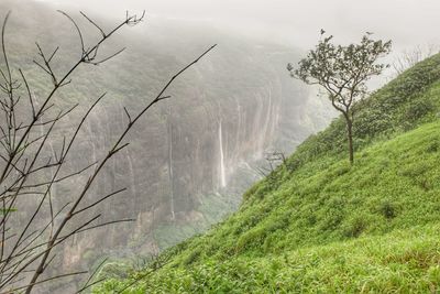 Scenic view of waterfall in forest