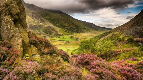 Scenic view of landscape against cloudy sky