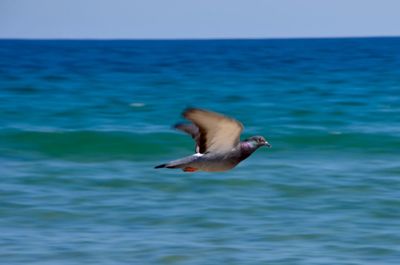 Scenic view of sea against blue sky