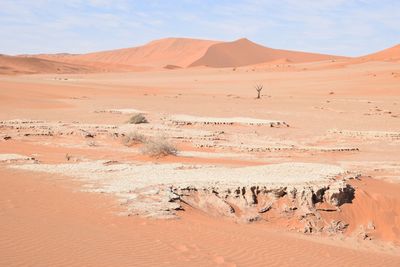 Sand dunes in a desert