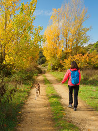 Rear view of man walking on road against sky during autumn