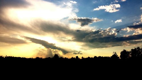 Silhouette of trees at sunset