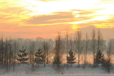 Scenic view of landscape against sky during sunset