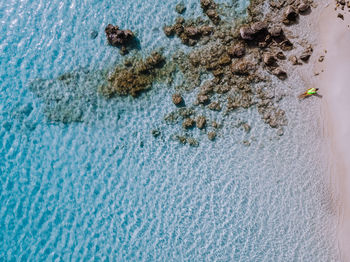 Man swimming in sea