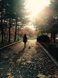 Rear view of man walking on road