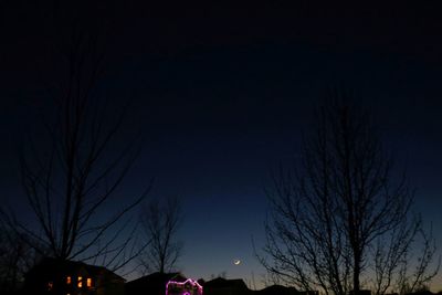 Low angle view of silhouette bare trees against sky at night