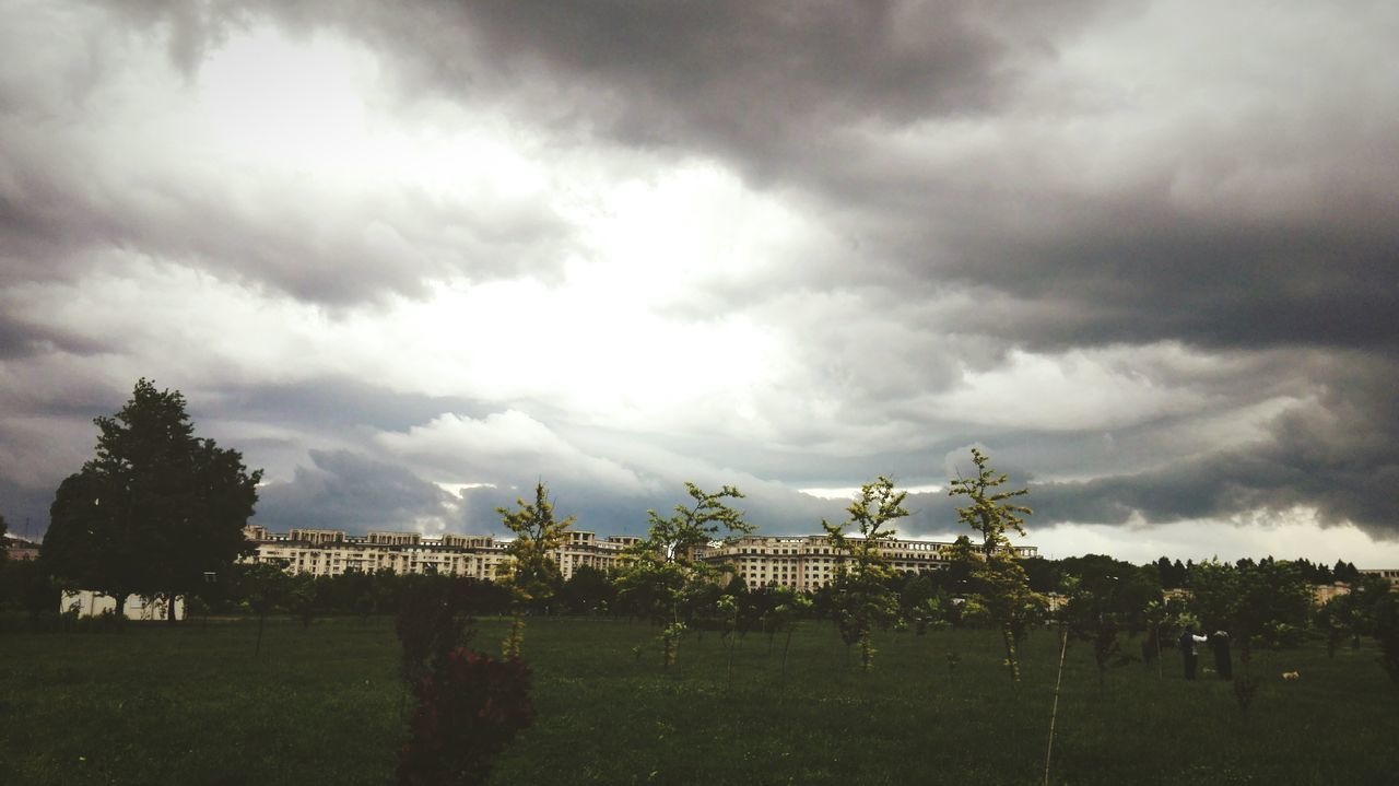 sky, cloud - sky, cloudy, field, grass, tree, landscape, nature, cloud, overcast, tranquil scene, tranquility, rural scene, weather, growth, fence, beauty in nature, scenics, outdoors, day