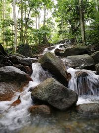 View of waterfall in forest