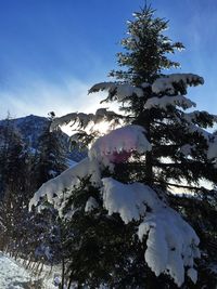 Scenic view of snow covered mountains against sky