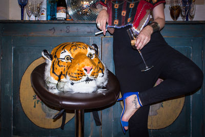 Low section of man sitting with animal representation on table