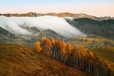 Scenic view of autumn landscape against mountain and sky during foggy weather