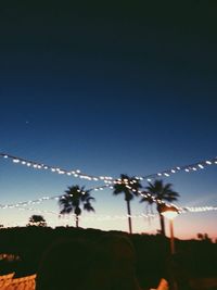 Low angle view of palm trees