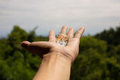 Close-up of hand holding plant against blurred background