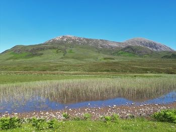 Scenic view of field against clear blue sky