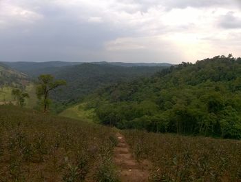 Scenic view of landscape against sky