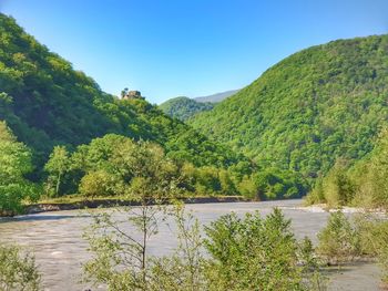 Scenic view of river by trees against sky