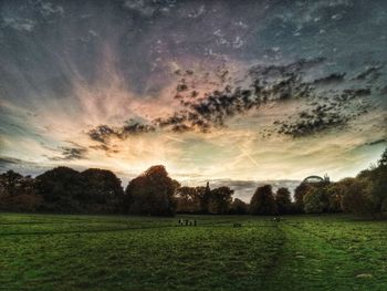 Scenic view of trees on field against sky during sunset