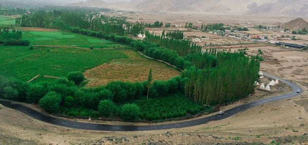 landscape