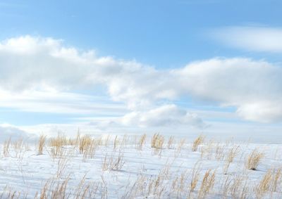 Scenic view of snow covered land against sky