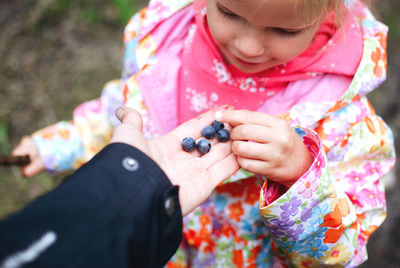 Little blondie girl taking blackberries from mother hand
