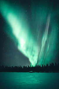 Scenic view of tree against sky at night