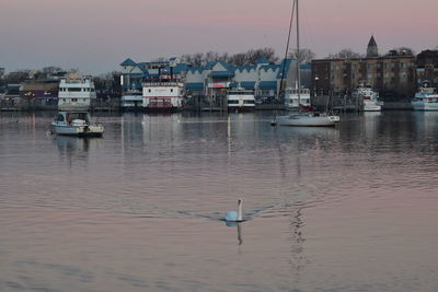 Boats in a harbor