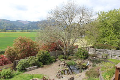 View of trees against cloudy sky