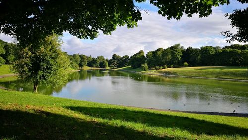 Scenic view of lake by trees against sky