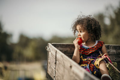 Girl looking away while sitting on wood