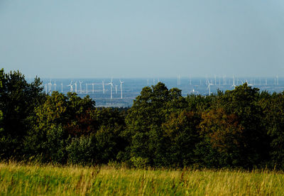 Trees on field against sky