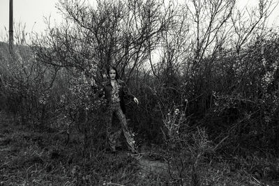 Bare trees on field in forest
