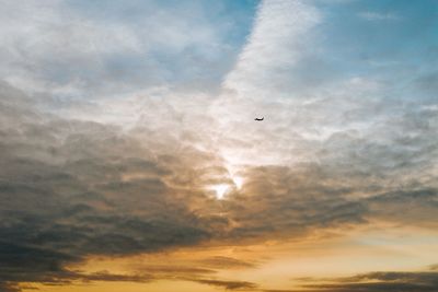 Low angle view of bird flying in sky