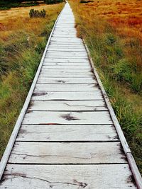 Boardwalk leading towards landscape