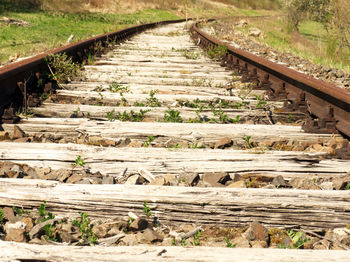 Railroad tracks by trees