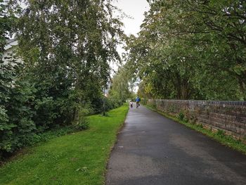 Rear view of person walking on road amidst trees