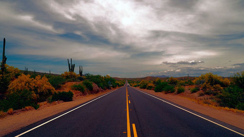 Empty road amidst trees against sky