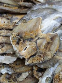 Close-up of fish for sale in market