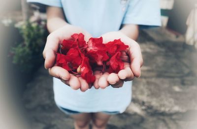 Midsection of person holding red flowering plant