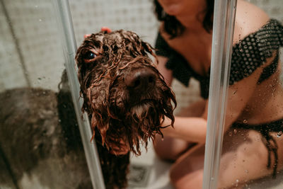 Smiling woman washing dog