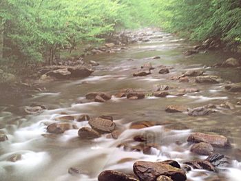 Scenic view of river flowing through rocks