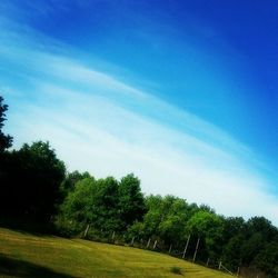 Scenic view of grassy field against blue sky