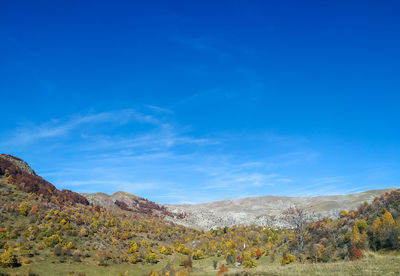 Scenic view of landscape against blue sky