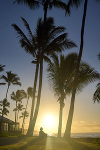 Silhouette palm trees at beach against sky during sunset