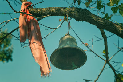 A bell hanging on branch