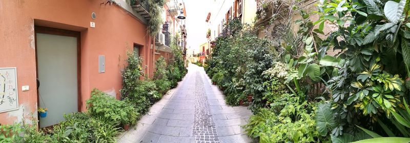 Narrow alley amidst buildings in city