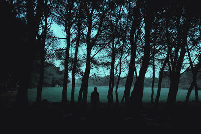 Silhouette person amidst trees in forest at dusk