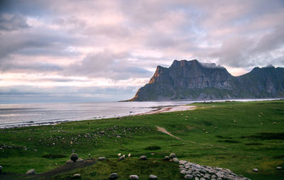 Scenic view of beach and mountains against sky, lofoten, norway